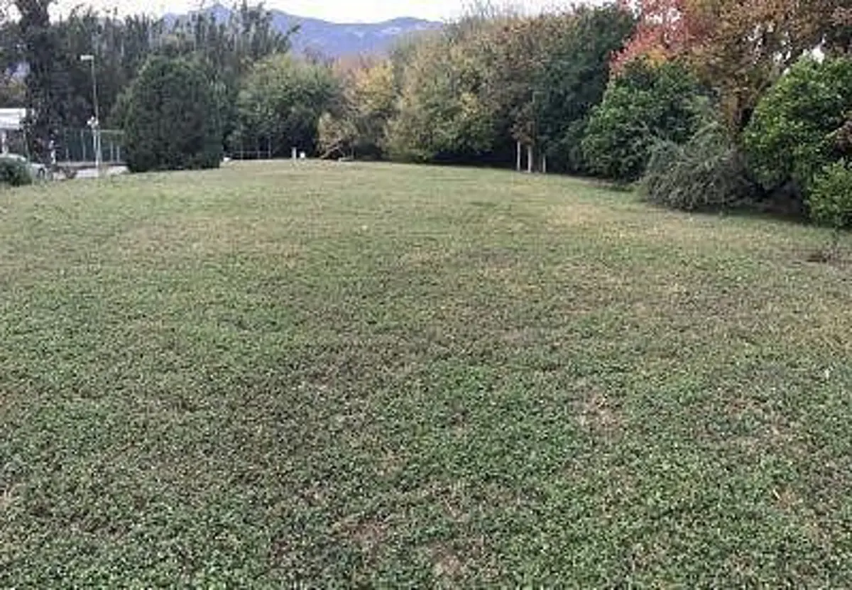 Terreno en venta en San Pedro Garza García Centro, San Pedro Garza García — foto 1 de 2