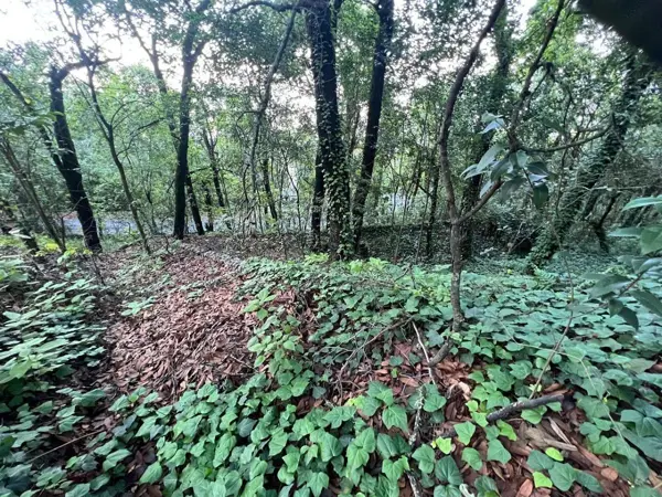 Terreno en venta en Olinala, San Pedro Garza García — foto 2 de 6