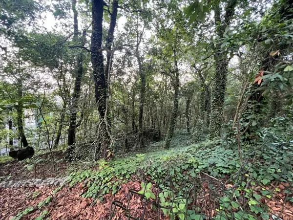 Terreno en venta en Olinala, San Pedro Garza García — foto 3 de 6