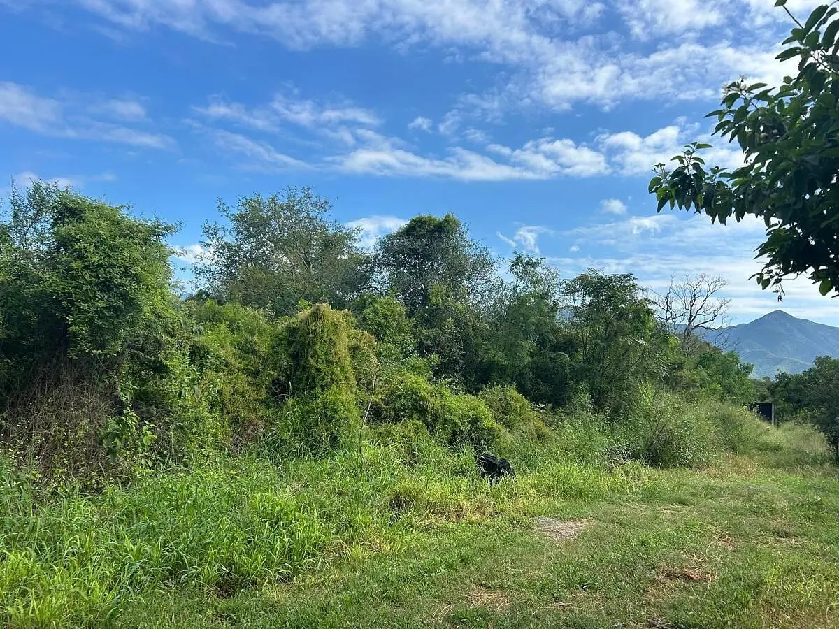 Terreno en venta en Huajuquito o los Cavazos, Santiago — foto 1 de 2