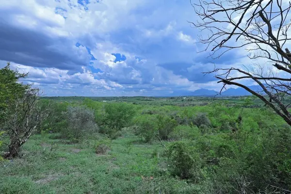 Terreno En Venta, Allende, Nuevo León