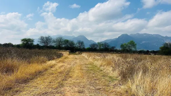 Finca-Rancho en venta en Ciudad Allende, Allende — foto 3 de 15