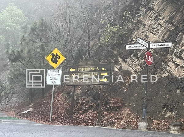Terreno en venta en Bosques de San Ángel Sector Palmillas, San Pedro Garza García — foto 2 de 11