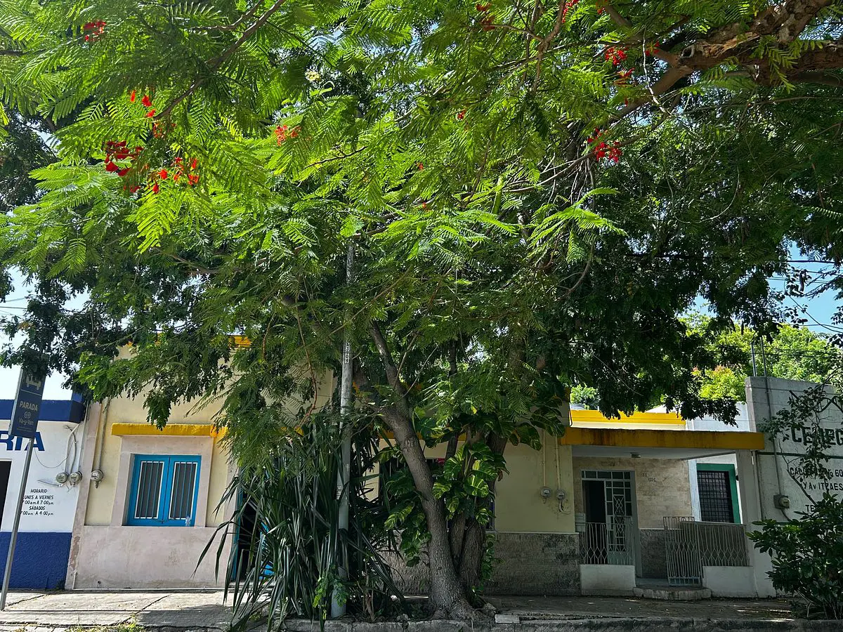 Casa en venta en Garcia Gineres, Mérida — foto 1 de 29