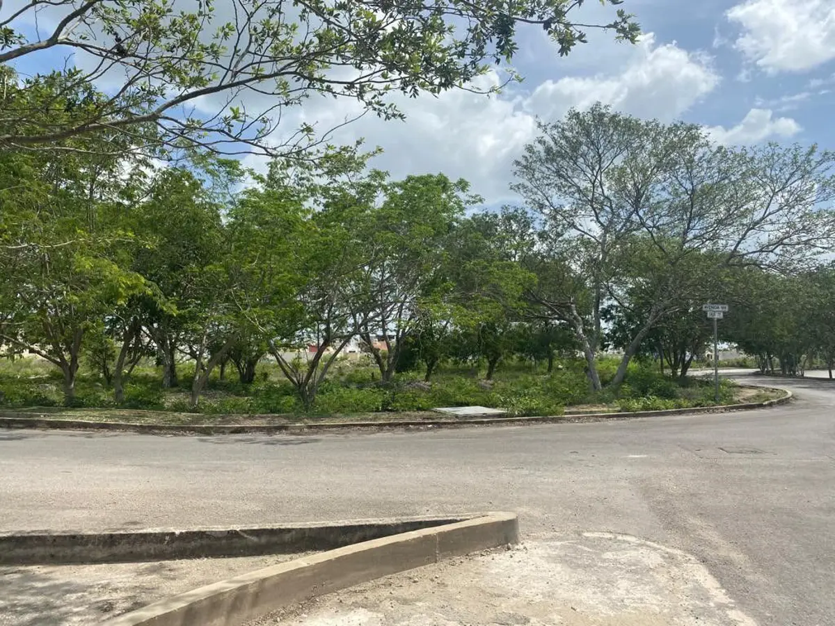 Terreno en renta en Caucel, Mérida — foto 1 de 5