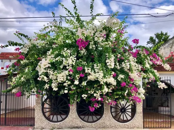 Casa en renta en Merida Centro, Mérida — foto 3 de 23