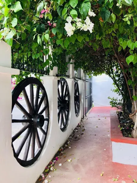 Casa en renta en Merida Centro, Mérida — foto 2 de 23