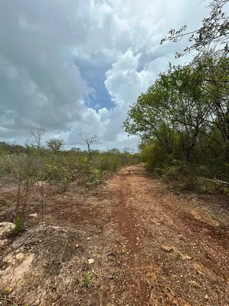 Terreno en venta en Chablekal, Mérida — foto 3 de 10