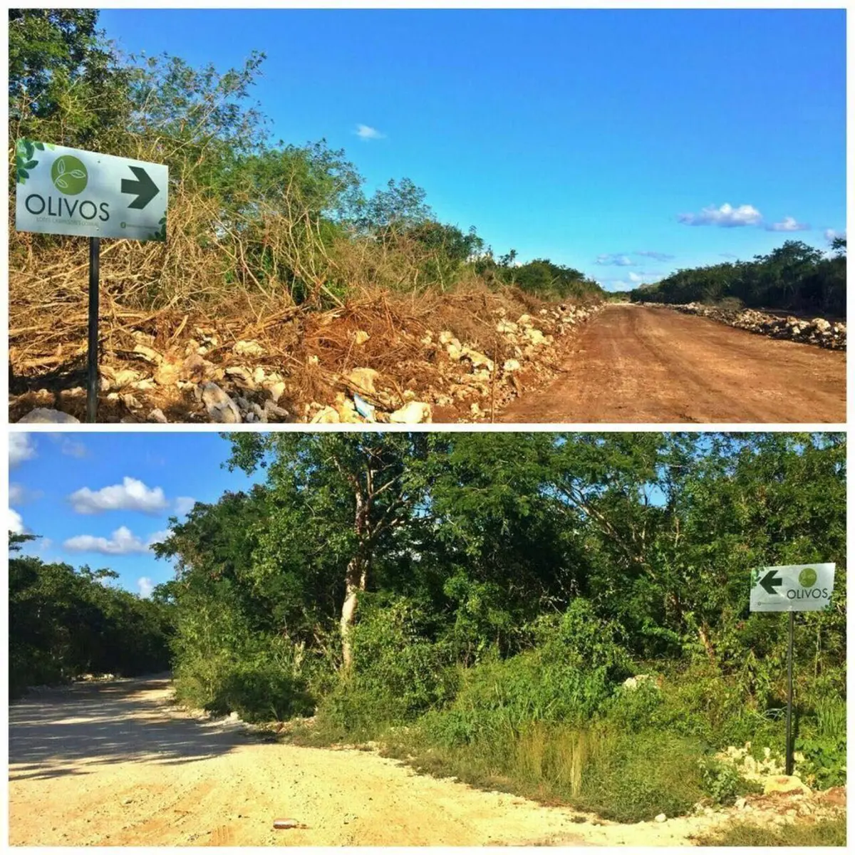 Terreno en venta en Conkal, Conkal — foto 1 de 10