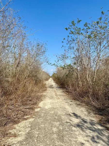 Terreno en venta en Conkal, Conkal — foto 2 de 10