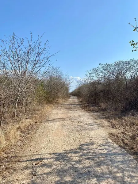 Terreno en venta en Conkal, Conkal — foto 3 de 10