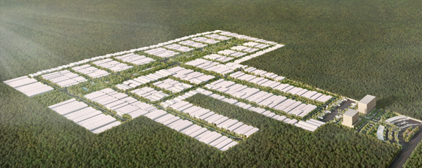Terreno en venta en Hunucmá, Hunucmá — foto 3 de 14