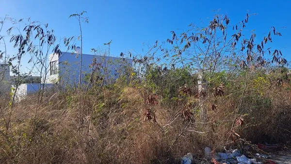 Terreno en venta en Dzitya, Mérida — foto 3 de 5