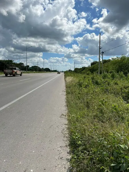 Terreno en renta en San Ignacio, Progreso — foto 2 de 7