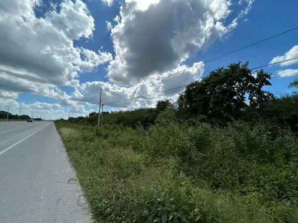 Terreno en renta en San Ignacio, Progreso — foto 3 de 7