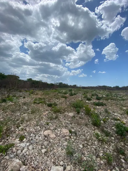 Terreno en venta en Chablekal, Mérida — foto 3 de 5