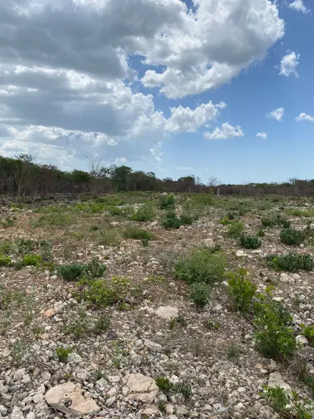 Terreno en venta en Chablekal, Mérida — foto 2 de 5