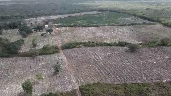Rancho en Venta con 39 hectáreas, carretera a Teya, Yucatán