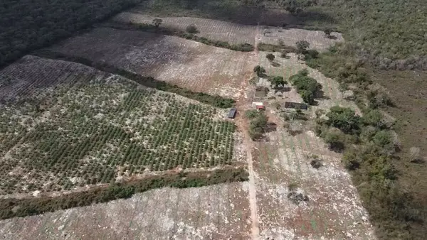 Finca-Rancho en venta en Teya, Teya — foto 3 de 6