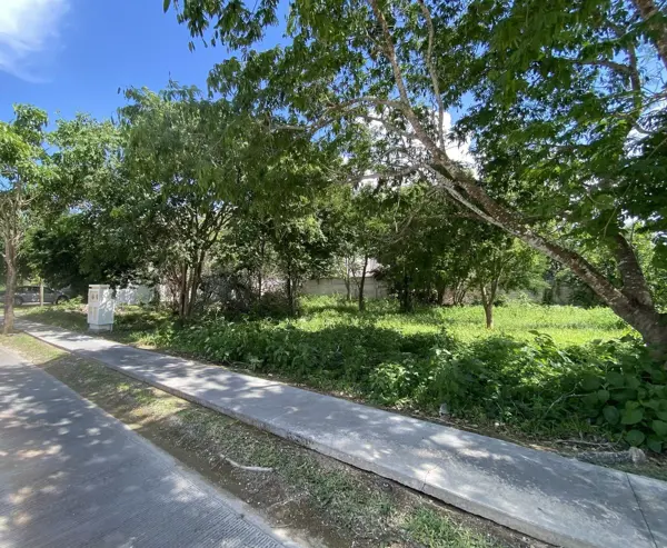 Terreno en venta en Parque Central, Mérida — foto 3 de 8