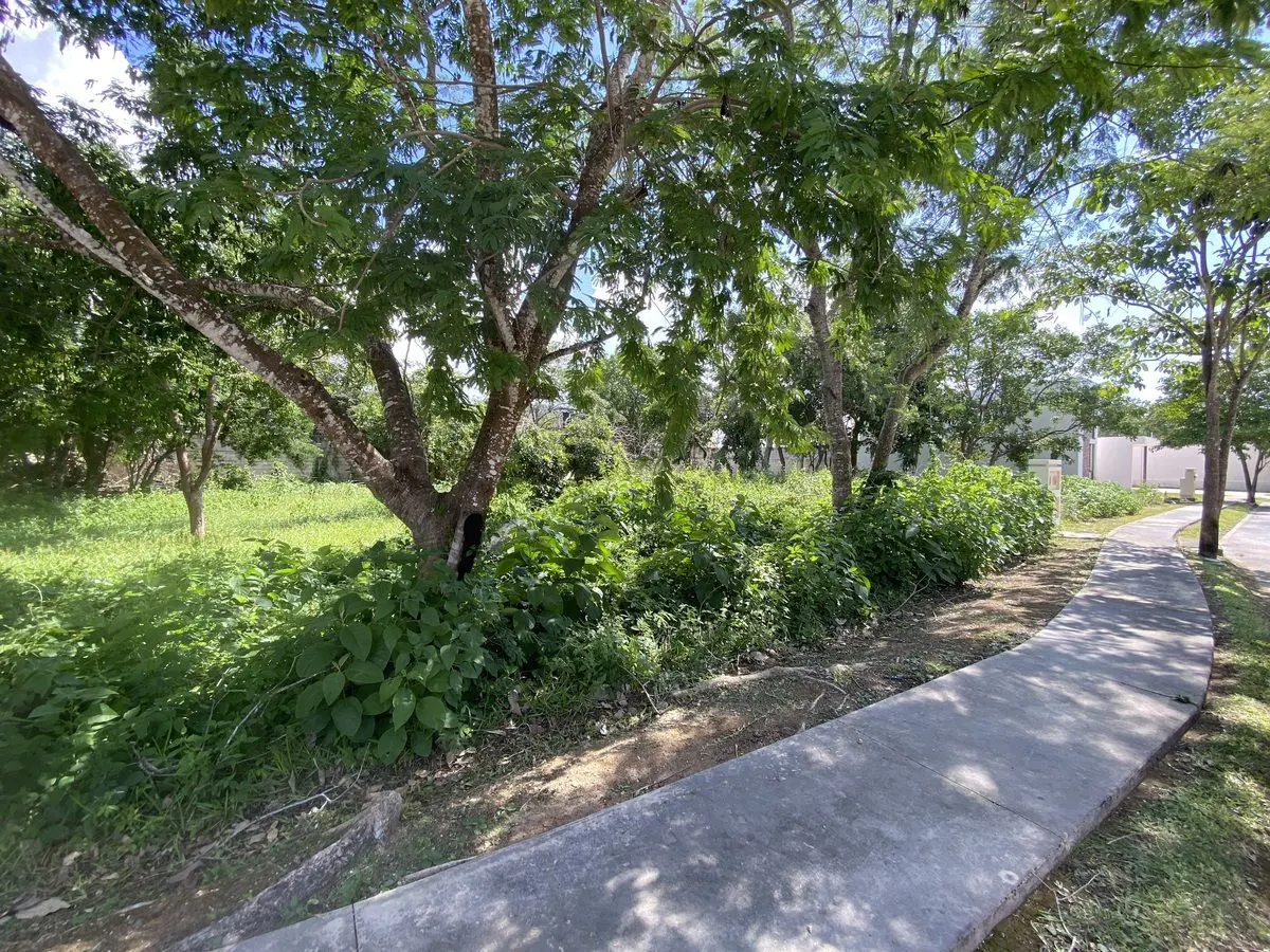 Terreno en venta en Parque Central, Mérida — foto 1 de 8