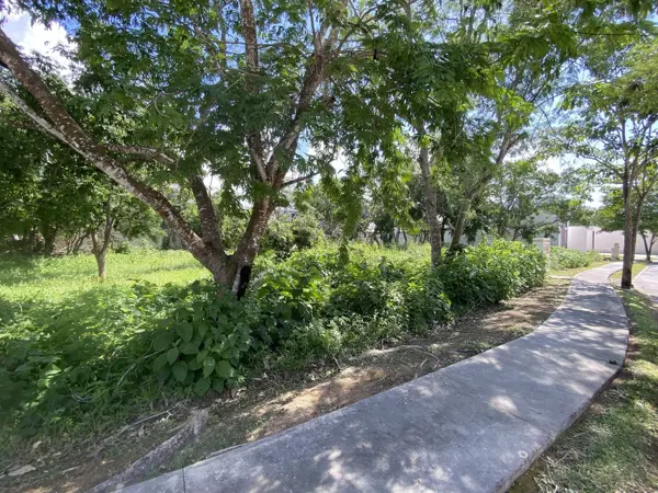 Terreno en venta en Parque Central, Mérida — foto 2 de 8