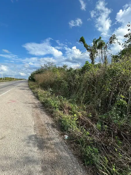 Terreno en venta en Muxupip, Muxupip — foto 2 de 12