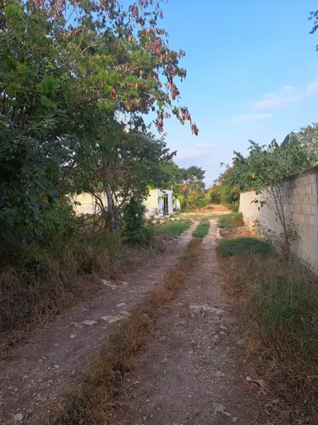 Terreno en venta en Sitpach, Mérida — foto 3 de 4