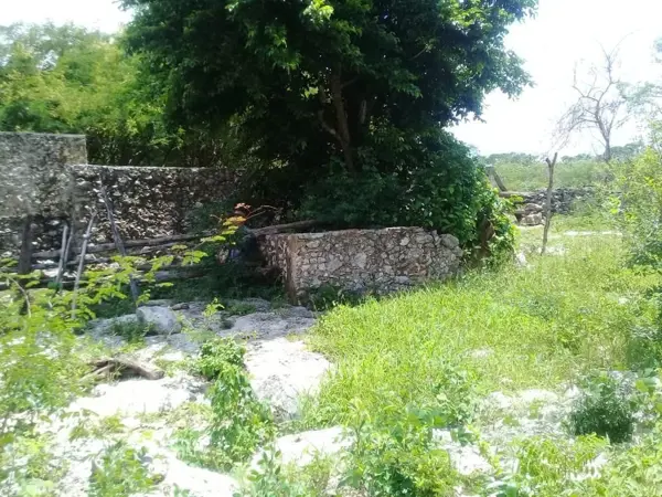 Finca-Rancho en venta en Kantunil, Kantunil — foto 2 de 13