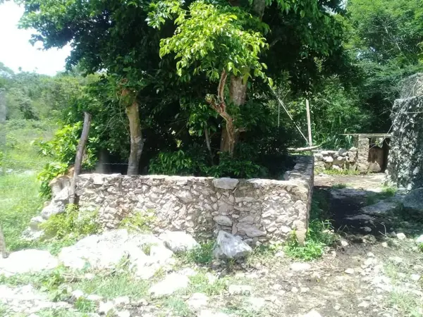 Finca-Rancho en venta en Kantunil, Kantunil — foto 3 de 13
