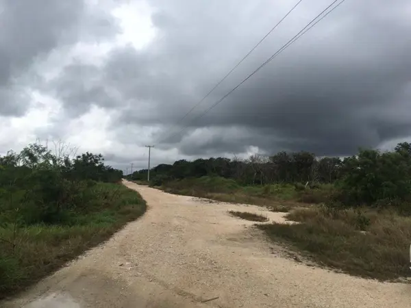Terreno de 1 Ha Ideal Para Desarrollar   Anayansi