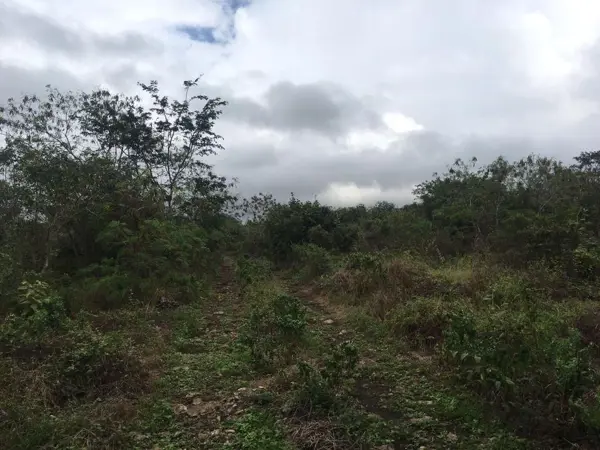 Terreno en venta en Chicxulub Puerto, Progreso — foto 3 de 6