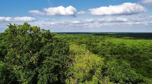 Terreno en venta en Bosques de San Ignacio, Dzidzilché.