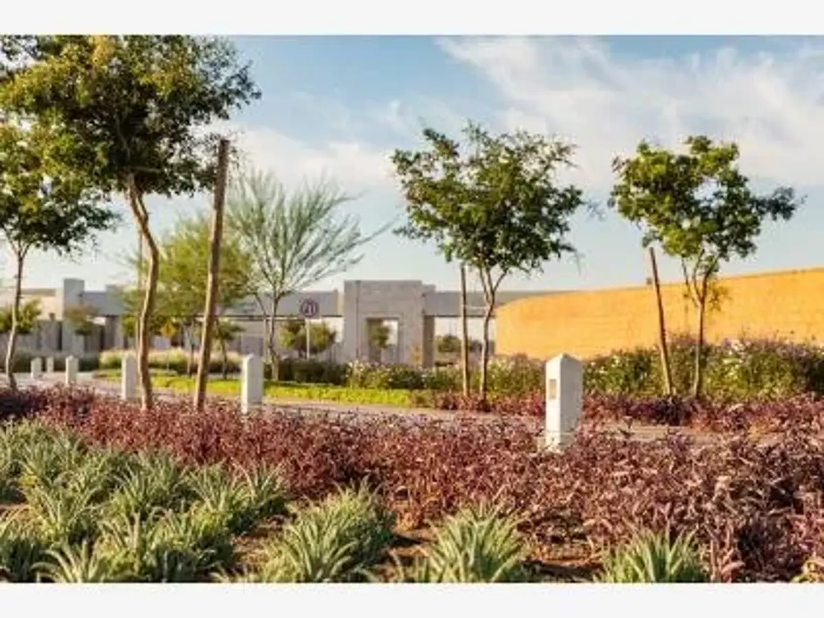 Terreno en venta en El Cardenchal, Torreón — foto 1 de 21