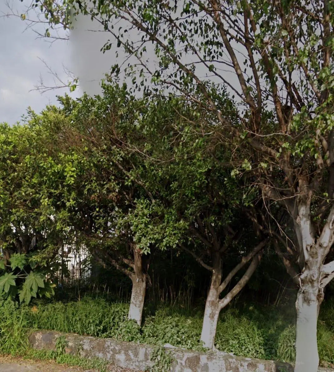 Terreno en venta en Del Empleado, Cuernavaca — foto 1 de 5