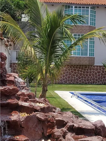 Casa en renta en Delicias, Cuernavaca — foto 3 de 37