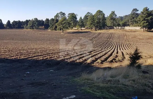 Terreno en venta en Pueblo Huitzilac, Huitzilac — foto 2 de 15