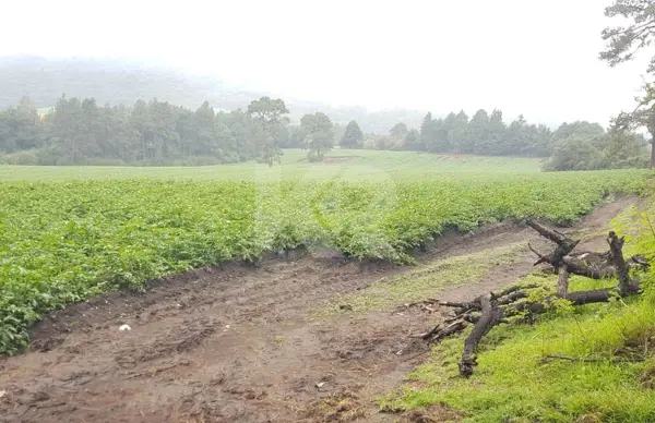 Terreno en venta en Pueblo Huitzilac, Huitzilac — foto 3 de 15