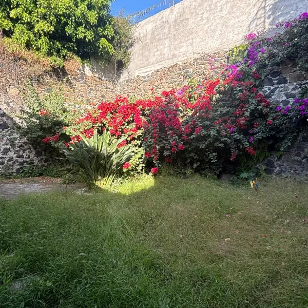 Casa en renta en Lomas de Cortes, Cuernavaca — foto 2 de 30