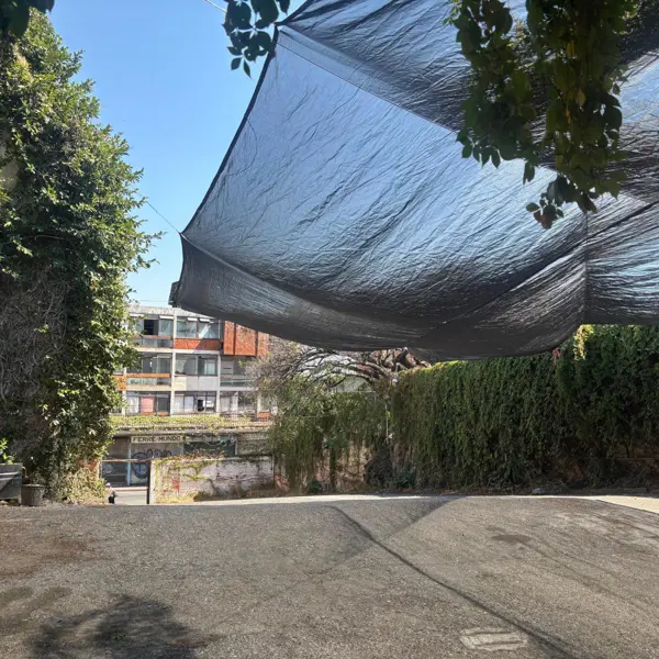 Terreno en venta en Cuernavaca Centro, Cuernavaca — foto 3 de 10