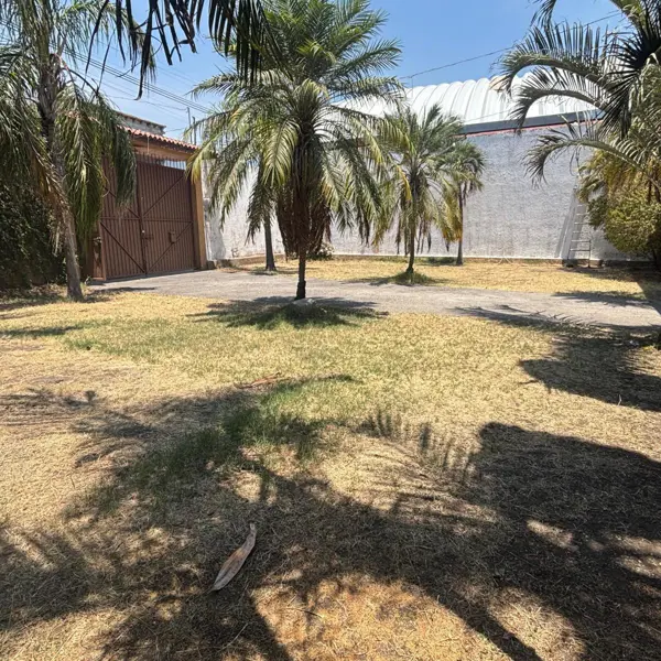 Bodega en venta en Bugambilias, Jiutepec — foto 3 de 24