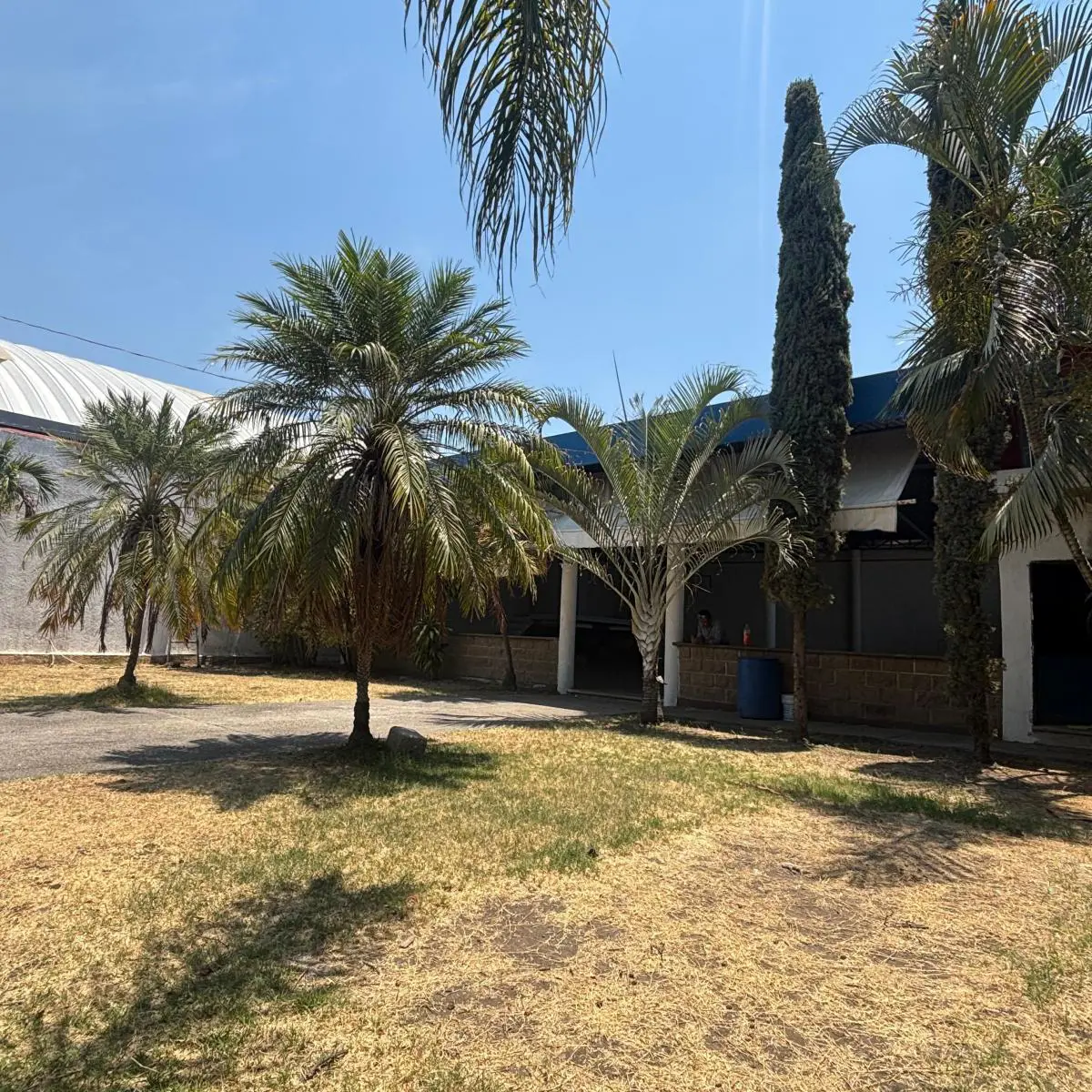 Bodega en venta en Bugambilias, Jiutepec — foto 1 de 24