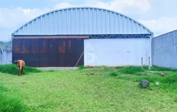 Bodega en venta en Paraiso Montessori, Cuernavaca — foto 3 de 8