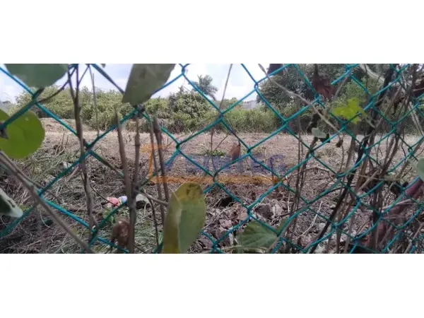 Terreno en venta en Salvador Allende, Poza Rica de Hidalgo — foto 3 de 5