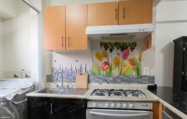 Departamento en venta en Carola, Álvaro Obregón — foto 3 de 16