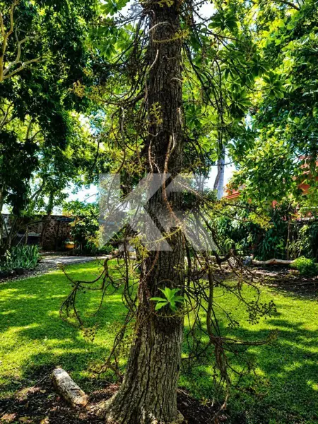 Casa en venta en Fraccionamiento Real de Tezoyuca, Emiliano Zapata — foto 2 de 48