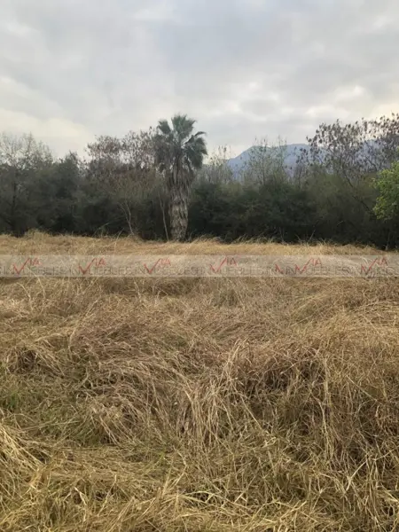 Terreno en venta en Raíces, Montemorelos — foto 3 de 12