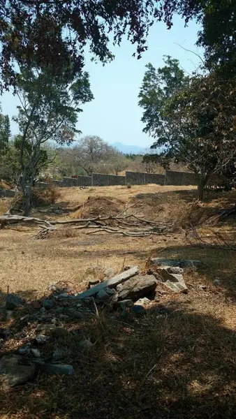 Terreno en venta en Ricardo Flores Magon, Cuernavaca — foto 2 de 9