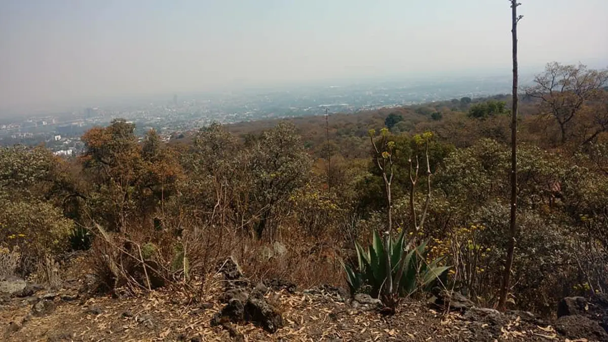 Terreno en venta en Emiliano Zapata, Temixco — foto 1 de 5
