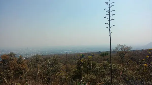 Terreno en venta en Emiliano Zapata, Temixco — foto 2 de 5